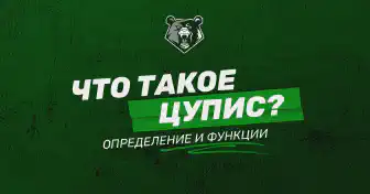 ЦУПИС: функции и принцип работы