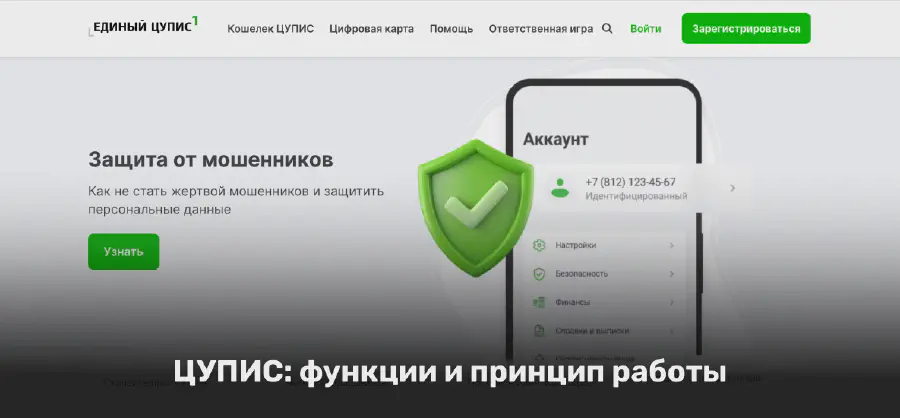 Что такое ЦУПИС