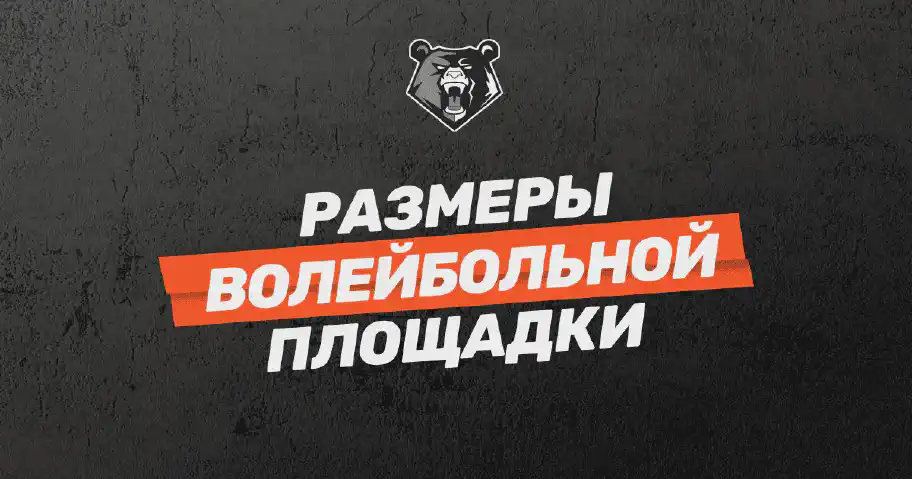 Волейбольная площадка: требования и характеристики