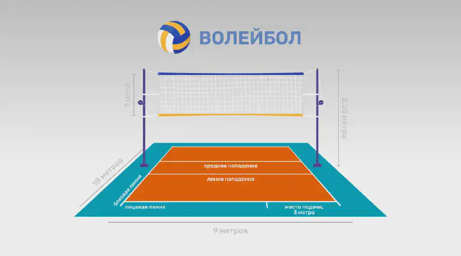 Волейбольная площадка: требования и характеристики