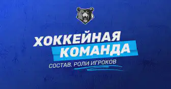 Как устроена хоккейная команда: состав, позиции и роли игроков