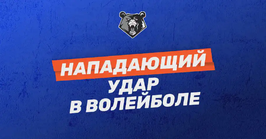 Техника нападающего удара в волейболе