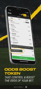 мобильное приложение bwin