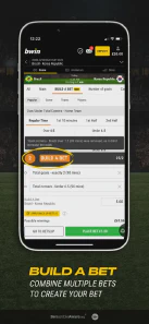 bwin app