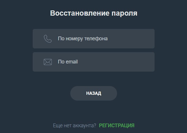Пример входа в Балтбет