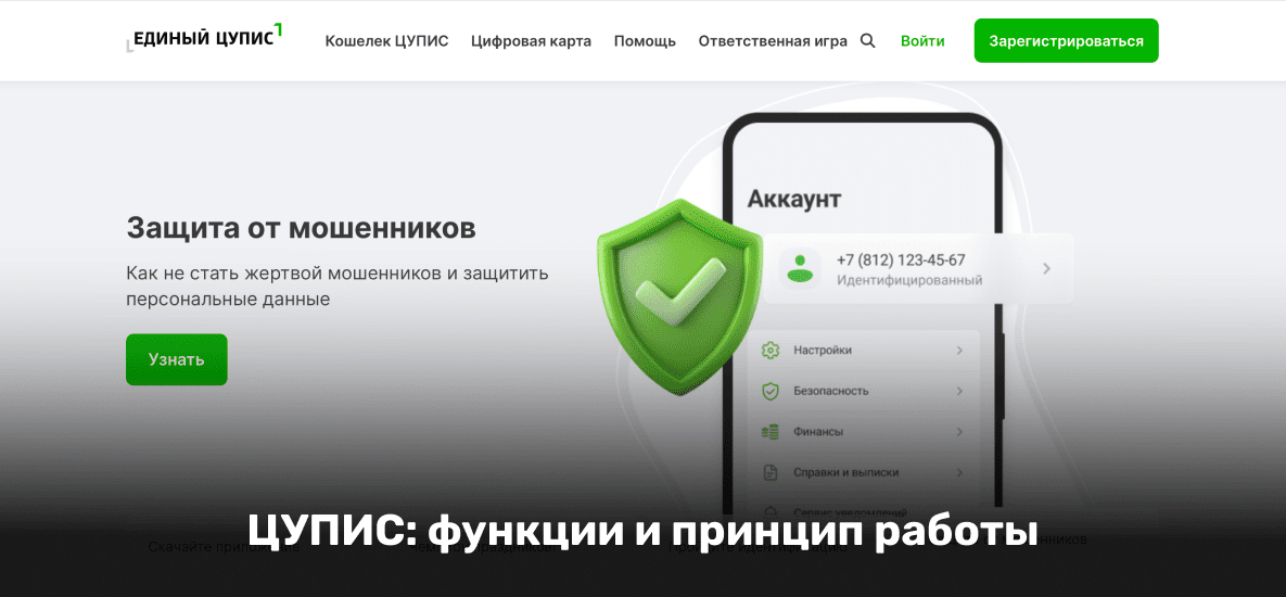 ЦУПИС: функции и принцип работы