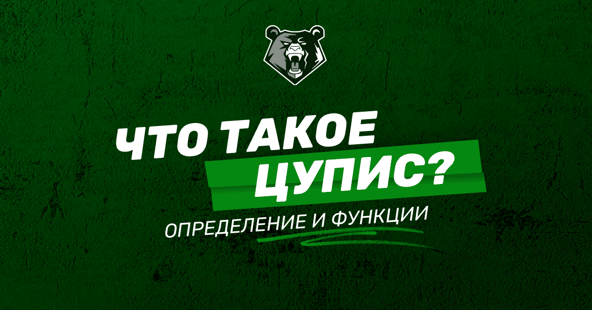 Что такое ЦУПИС: определение и функции организации