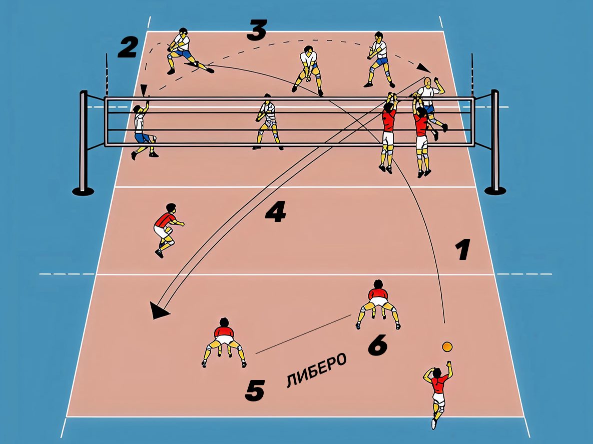 Либеро в волейболе: разбор для новичков от профессионалов