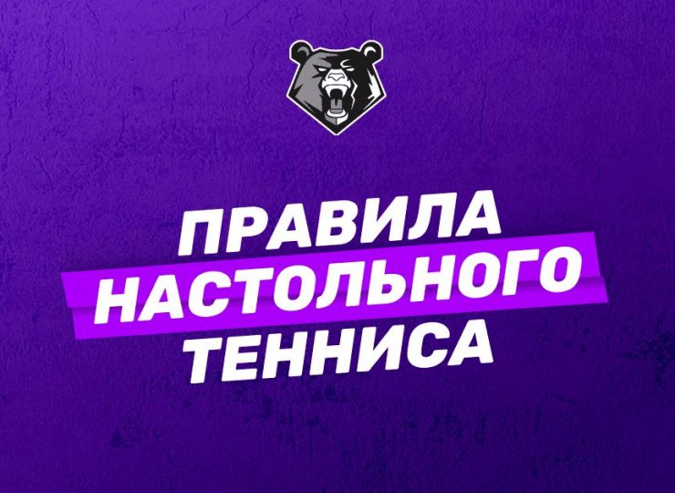 Правила настольного тенниса: как играть и выигрывать