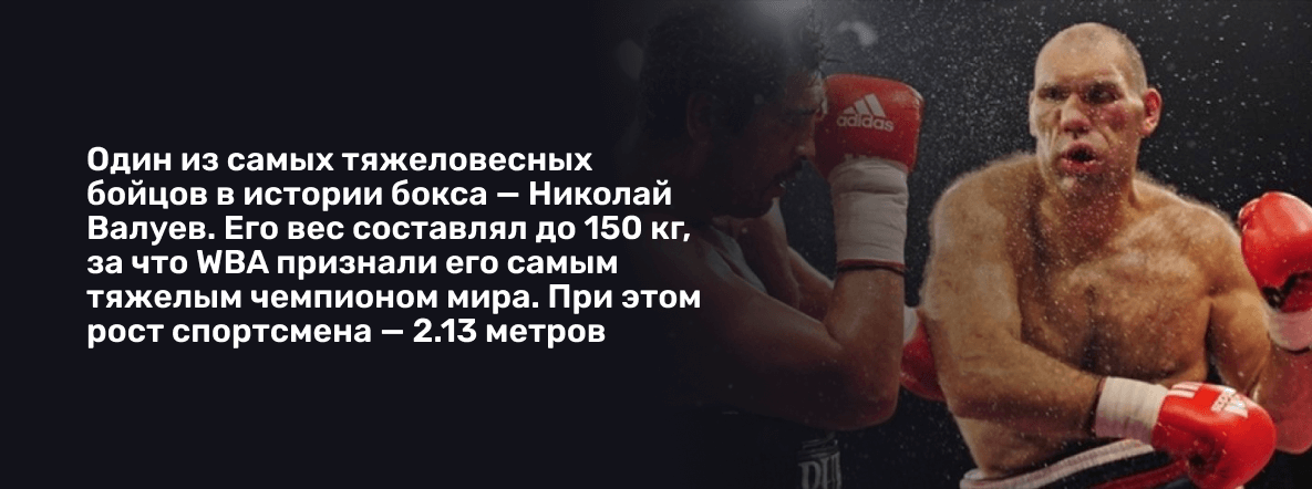 Один из самых тяжеловесных бойцов