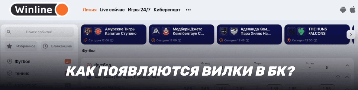 Что такое вилки в ставках на спорт: как появляются вилки в БК