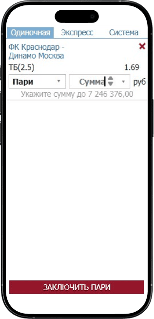 Как делать ставки в БК Бетсити: Заключение пари