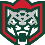 Эмблема хоккейного клуба «Ак Барс» с 2022 года