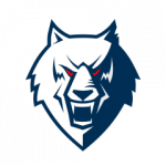 Эмблема ХК Нефтехимик