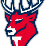 Эмблема хоккейного клуба «Торпедо» (Нижний Новгород) с 2022 года