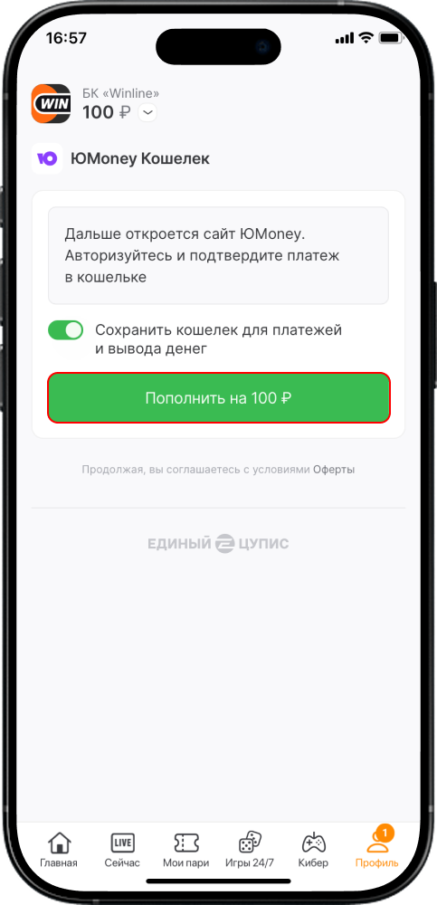 Как пополнить счет в БК Winline: инструкция депозита на счет