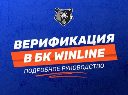 Верификация в БК Winline